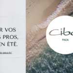 Et si l’été était le moment idéal pour réfléchir à votre avenir professionnel ?